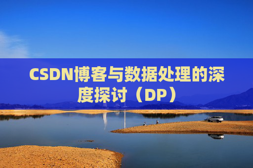 CSDN博客与数据处理的深度探讨（DP）